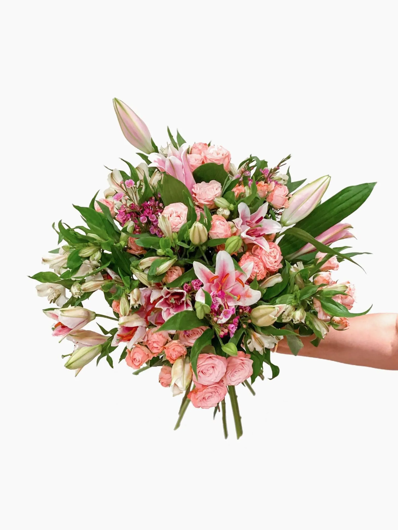 Pink Blushes
