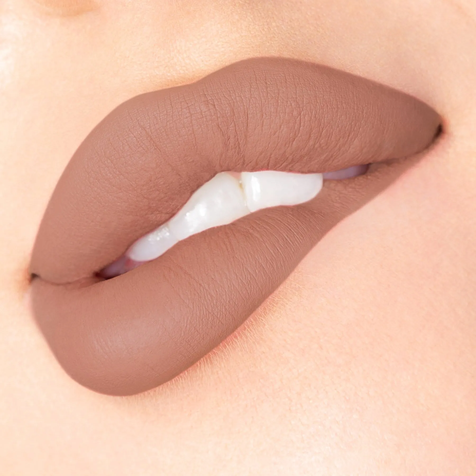 Velvet Matte Liquid Lip 2. Burlesque   FREE MINI